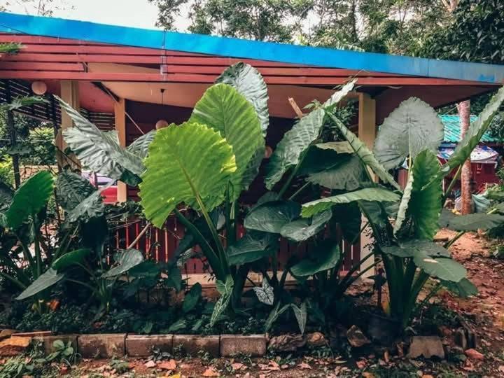 Song Pee Nong Resort Phattalung Phatthalung Exterior foto